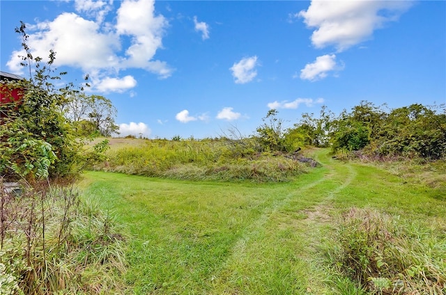 view of nature with a rural view