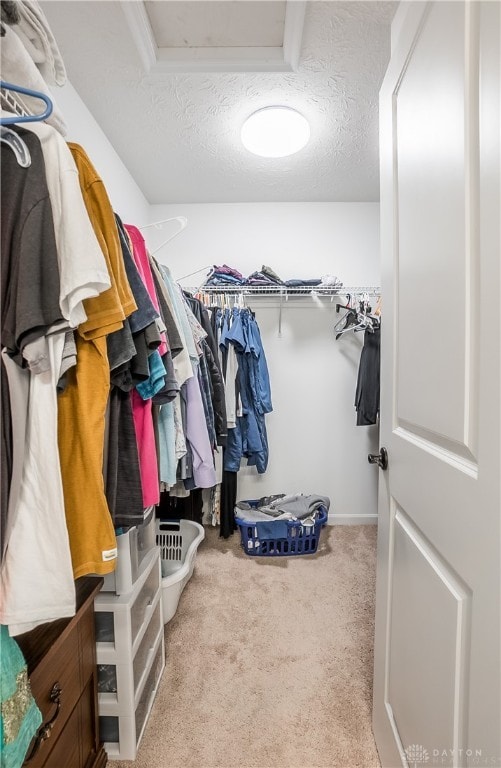 spacious closet with light carpet