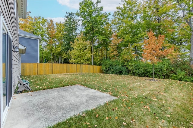 view of yard with a patio