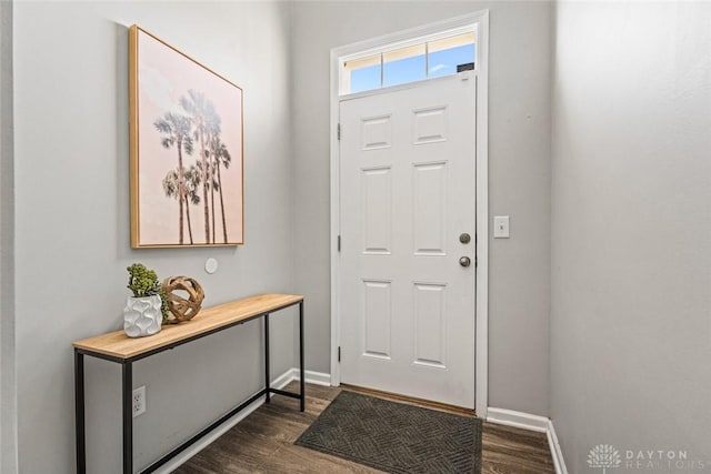 entryway featuring dark wood-type flooring