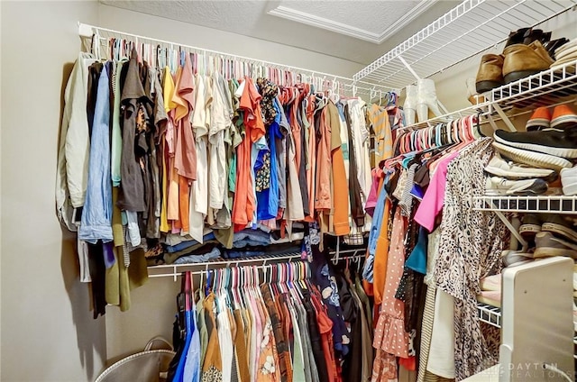 view of spacious closet