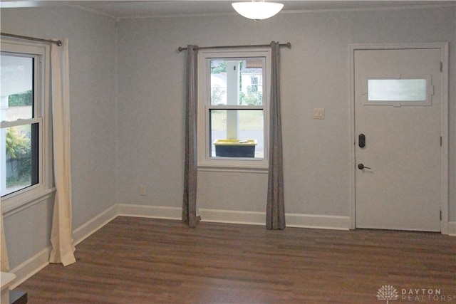 foyer featuring crown molding and dark wood-type flooring