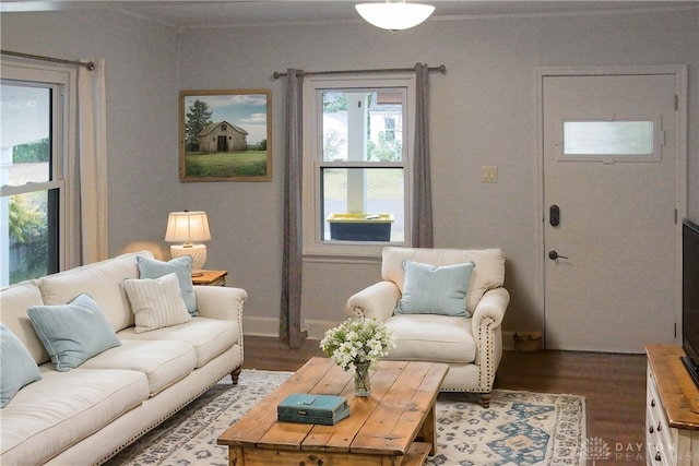 living room featuring hardwood / wood-style floors and ornamental molding