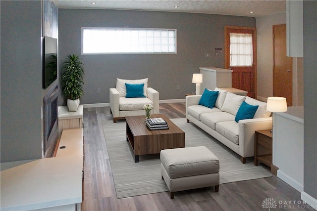 living room featuring a wealth of natural light and light hardwood / wood-style flooring