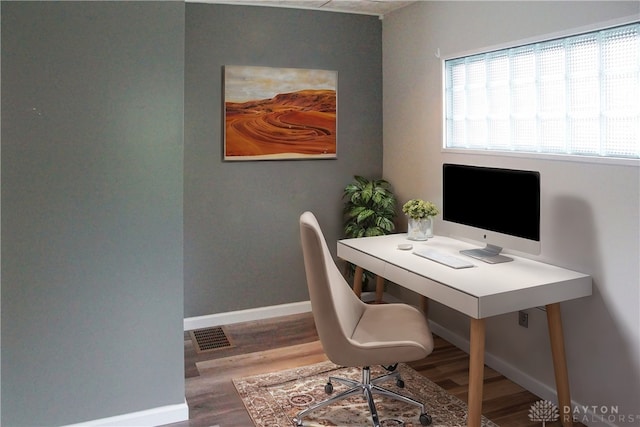 office featuring wood-type flooring