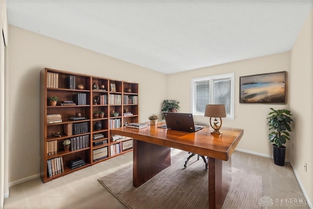 office featuring light colored carpet