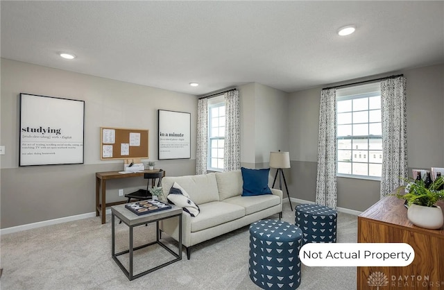 living room with carpet floors