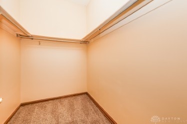 walk in closet featuring light carpet