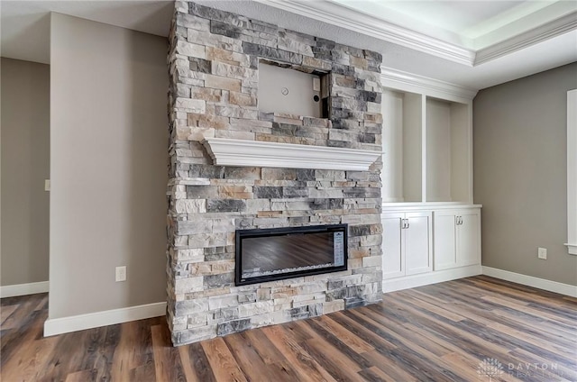 room details with a tray ceiling, crown molding, a fireplace, and wood-type flooring