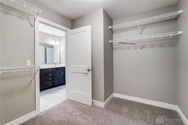 spacious closet featuring carpet and sink