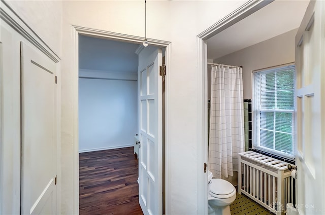 bathroom featuring wood-type flooring and toilet