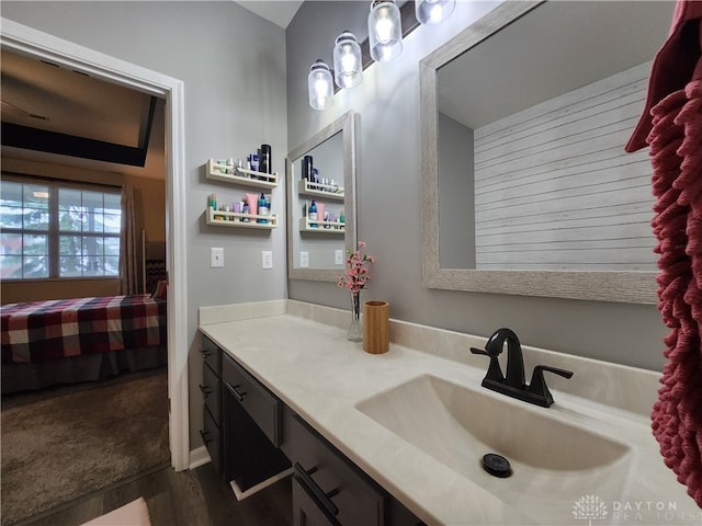 bathroom with wood-type flooring and vanity