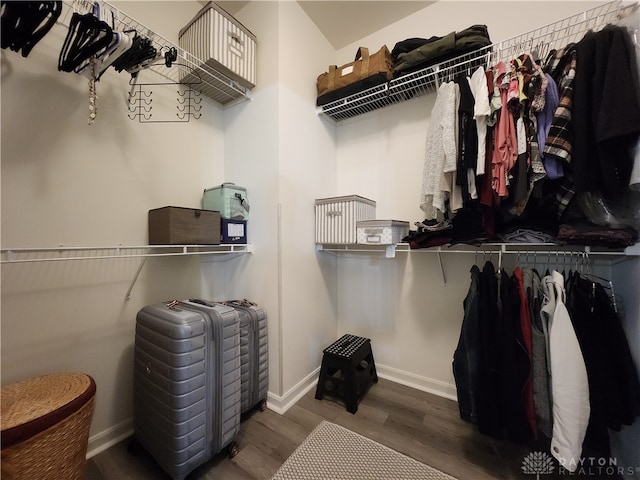 spacious closet featuring dark wood-type flooring