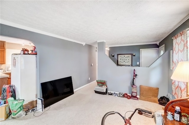 interior space with a textured ceiling, carpet floors, and crown molding