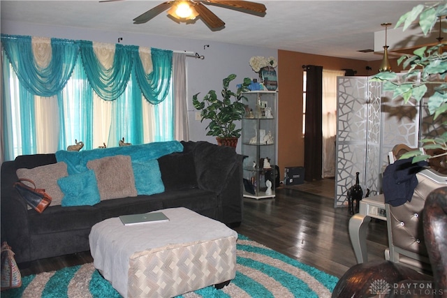 living room featuring ceiling fan and dark hardwood / wood-style flooring