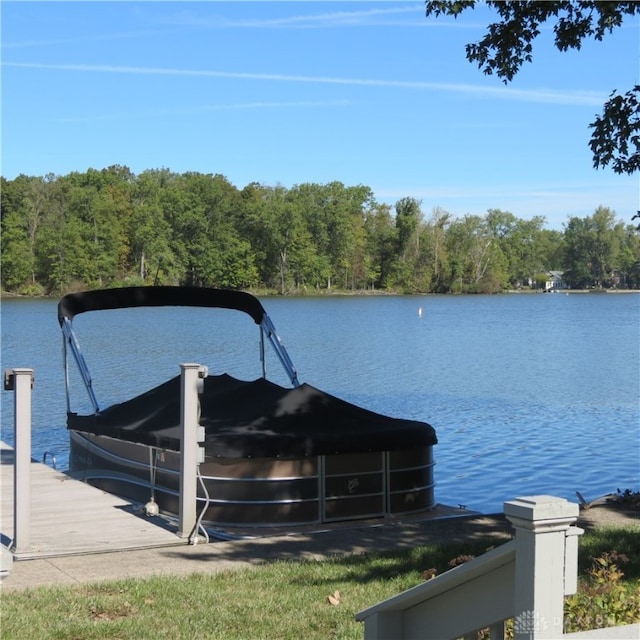 dock area with a water view