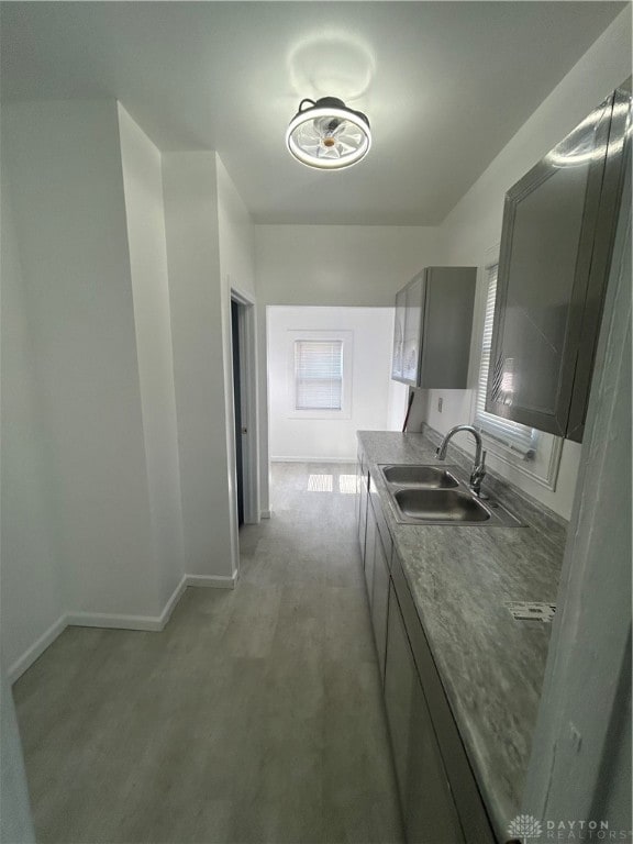 kitchen with light carpet, gray cabinets, a wealth of natural light, and sink