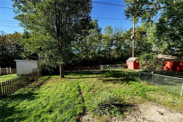 view of yard featuring a shed