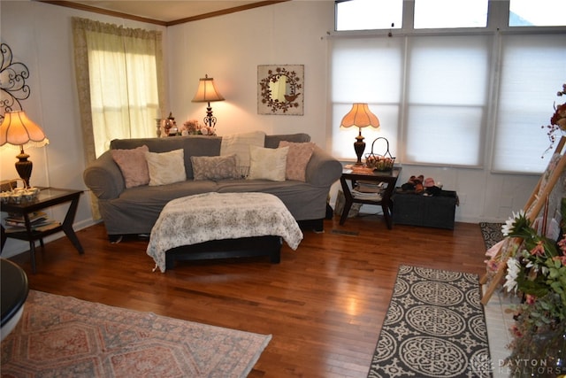 living room with crown molding, hardwood / wood-style flooring, and plenty of natural light