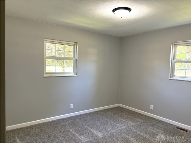 empty room with a textured ceiling, carpet floors, and a healthy amount of sunlight