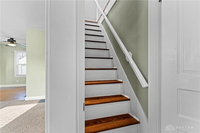 staircase featuring hardwood / wood-style floors and ceiling fan