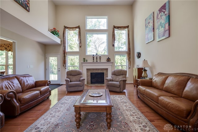 living room with a healthy amount of sunlight, a towering ceiling, and wood-type flooring