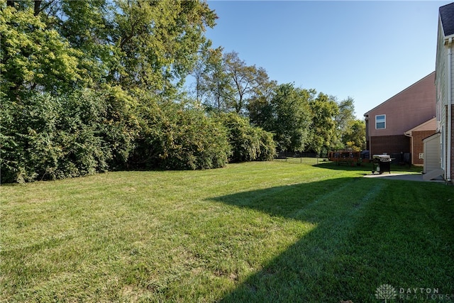 view of yard featuring a patio area