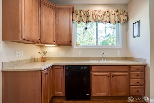 kitchen featuring black dishwasher, sink, and hardwood / wood-style flooring