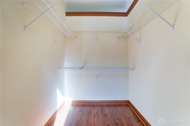 walk in closet with dark hardwood / wood-style floors