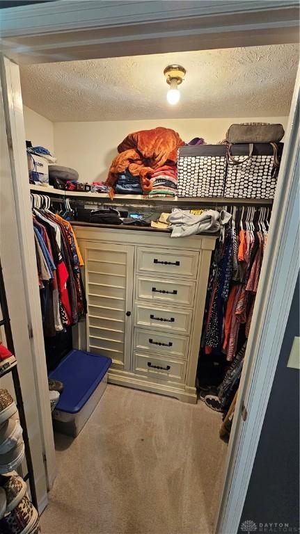 walk in closet featuring carpet floors