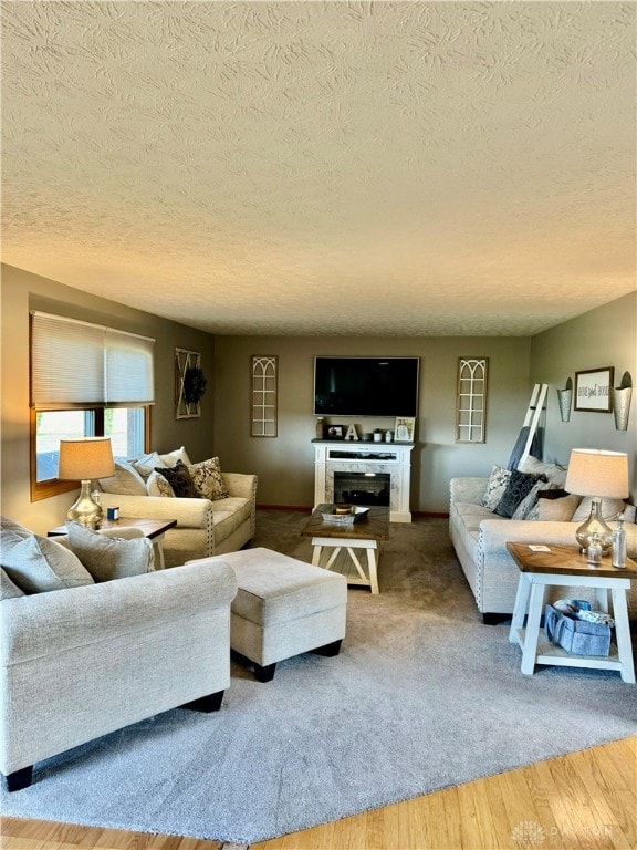 living room featuring a textured ceiling and wood-type flooring