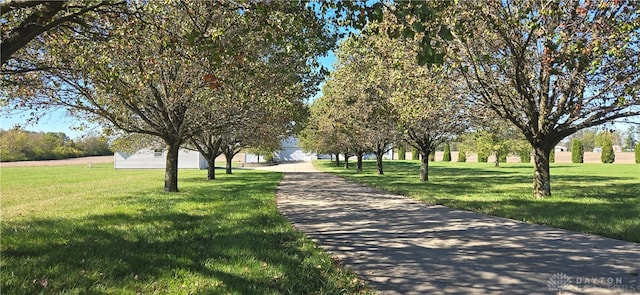 view of community featuring a lawn