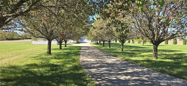 surrounding community with a yard