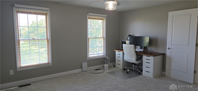 office area with light colored carpet and a wealth of natural light