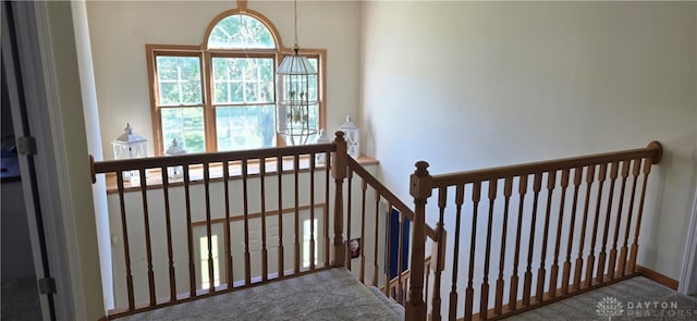 staircase featuring carpet