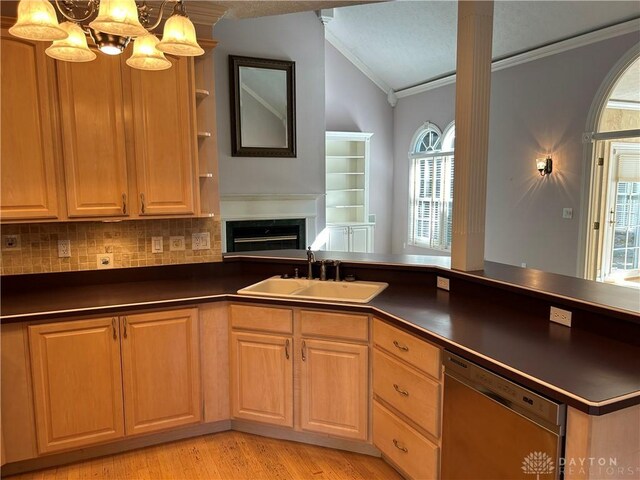 kitchen featuring sink, plenty of natural light, light hardwood / wood-style floors, and stainless steel dishwasher