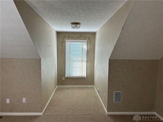 additional living space with lofted ceiling, light carpet, and a textured ceiling