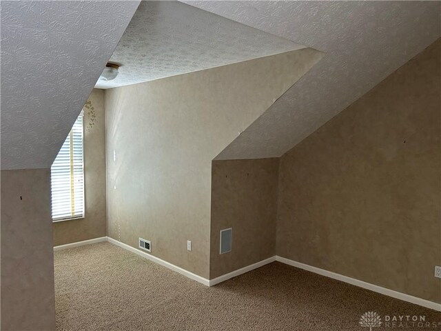 additional living space featuring a textured ceiling, lofted ceiling, and carpet