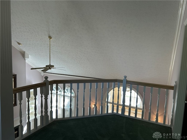 interior space featuring carpet floors and a textured ceiling