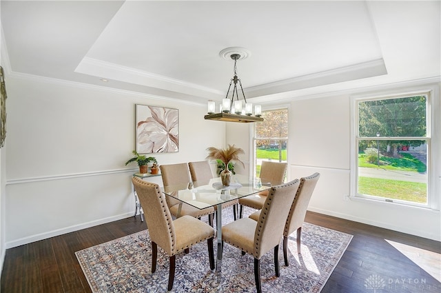 dining space with ornamental molding, dark wood-type flooring, and a raised ceiling