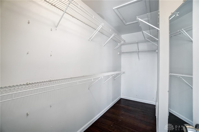 walk in closet with dark hardwood / wood-style flooring