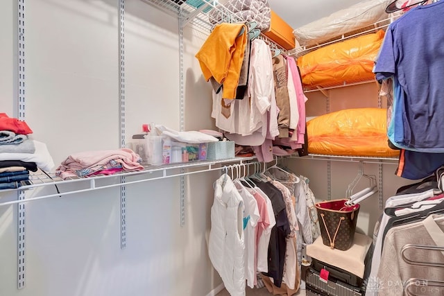 view of spacious closet