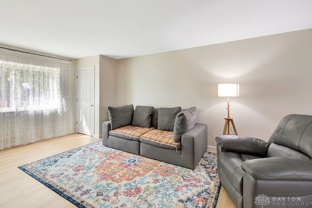 living room featuring light hardwood / wood-style floors