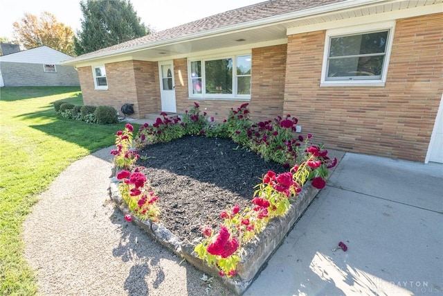 ranch-style house with a front yard