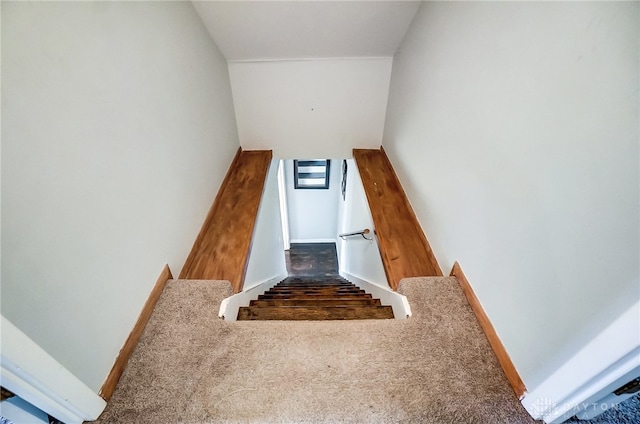 stairs featuring carpet flooring