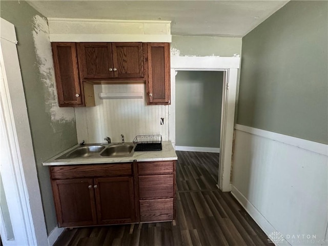 kitchen featuring sink and dark wood-type flooring