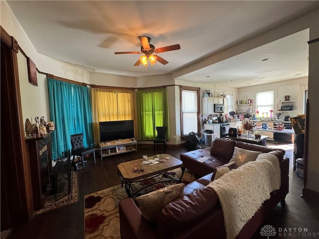 living room with ceiling fan and dark hardwood / wood-style floors