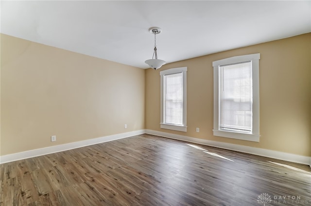 spare room featuring wood-type flooring