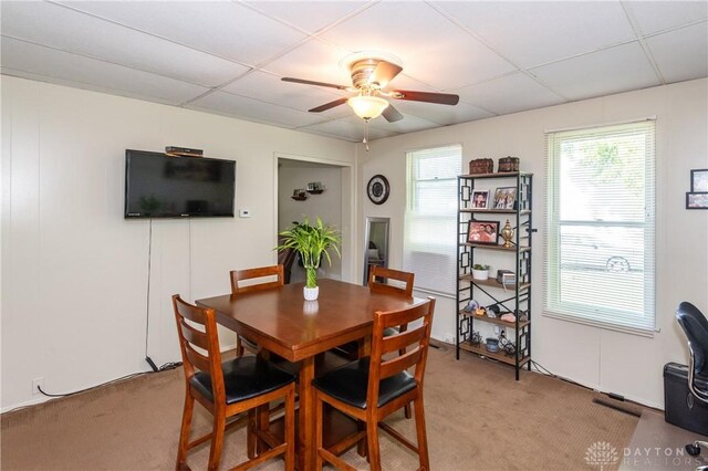 dining space featuring ceiling fan, a paneled ceiling, and light carpet