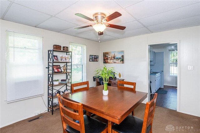 dining space featuring a paneled ceiling, plenty of natural light, and carpet